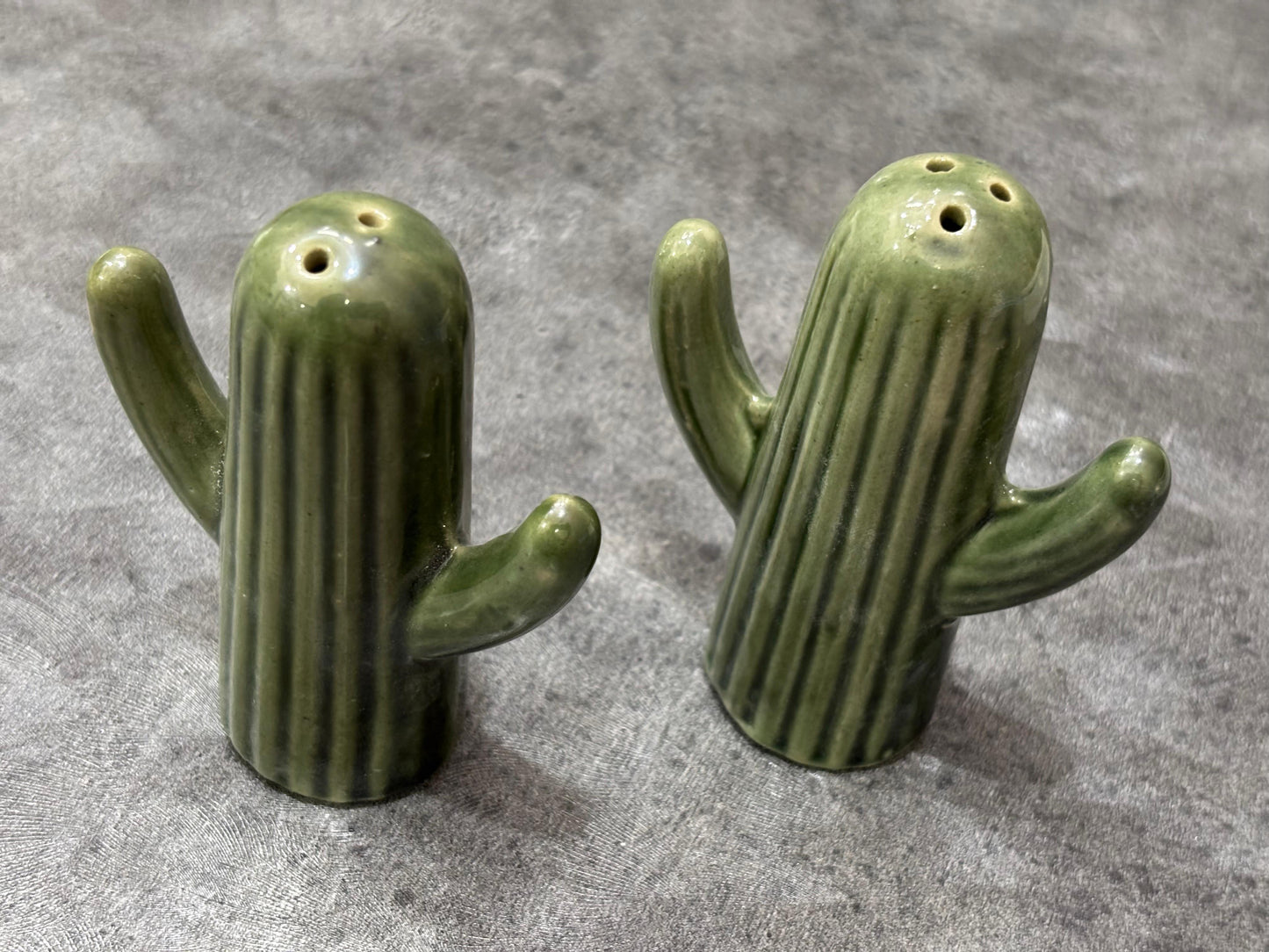 The "Lookin' Sharp" Ceramic Cactus Shaker Set