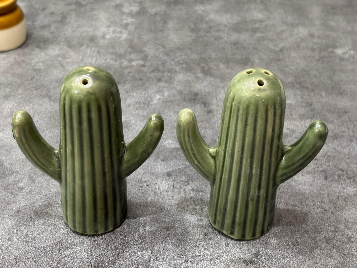 The "Lookin' Sharp" Ceramic Cactus Shaker Set