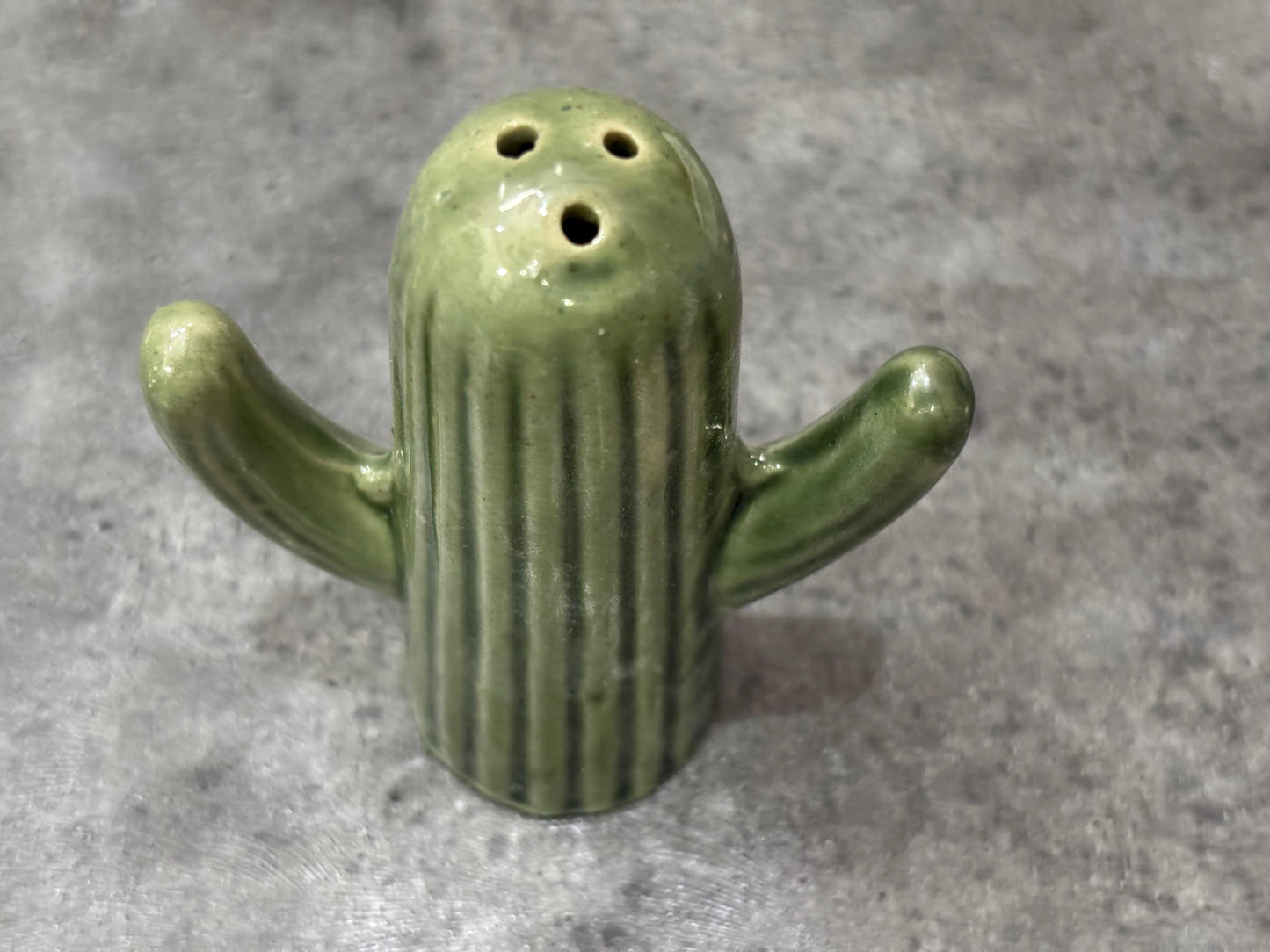The "Lookin' Sharp" Ceramic Cactus Shaker Set