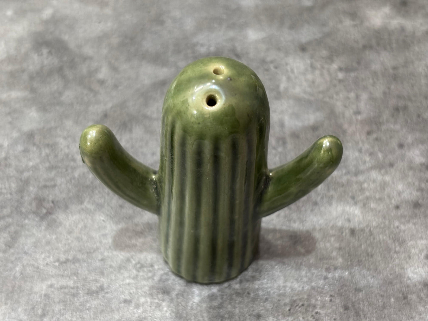 The "Lookin' Sharp" Ceramic Cactus Shaker Set